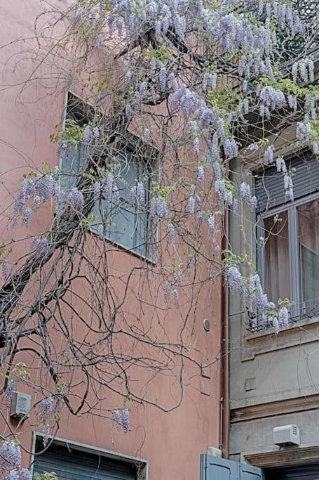 Primopiano - Ariberto Daire Milano Dış mekan fotoğraf